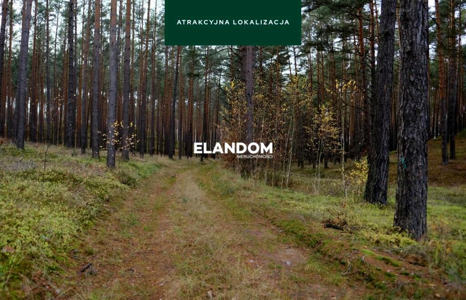 Działka przy lesie