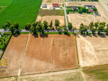 Działka siedliskowa Krasienin-Kolonia