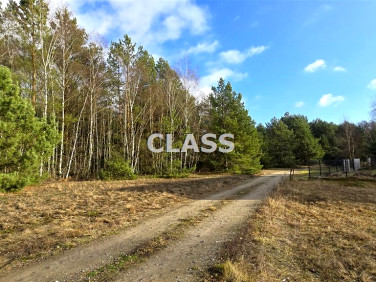 Działka budowlana Białe Błota