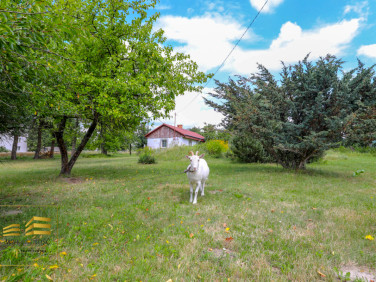Działka budowlana Stara Wieś