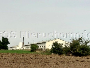 Budynek użytkowy Zadowice