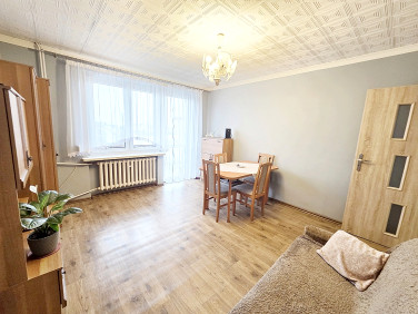 Mieszkanie Zdziechowa