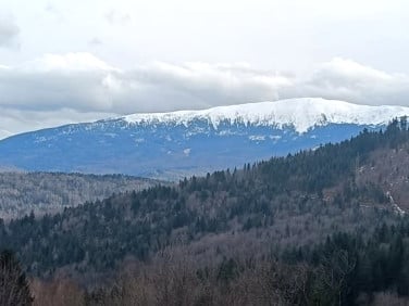 Działka budowlana Zawoja