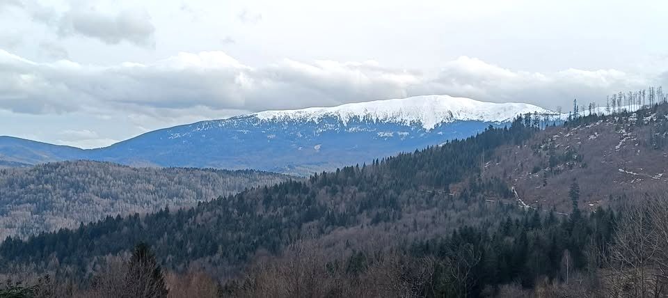 Działka budowlana Zawoja