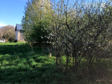 Działka budowlana Anielpol