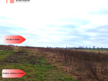 Działka inna Ojrzanowo