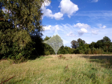 Działka budowlana Charnowo