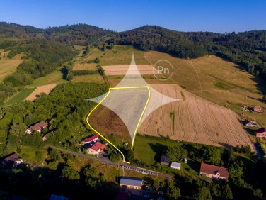 Działka Wojciechowice