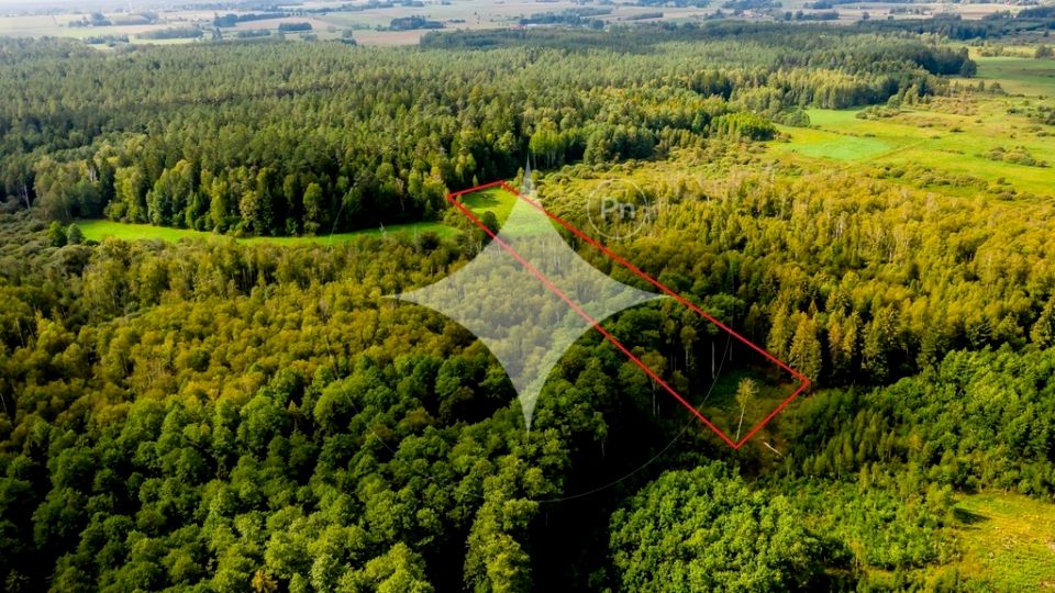 Działka Dobrzyniówka