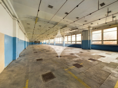 Budynek użytkowy Głogów