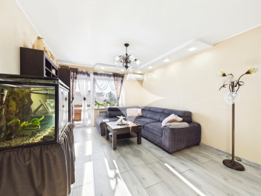 Mieszkanie Niechlów