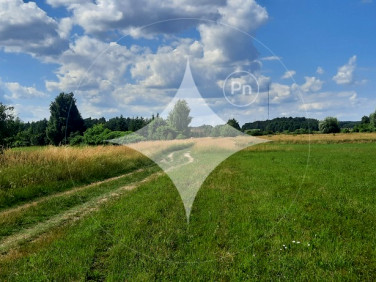 Działka Dobrzyniewo Kościelne