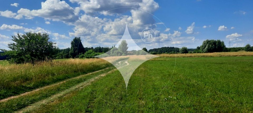 Działka Dobrzyniewo Kościelne