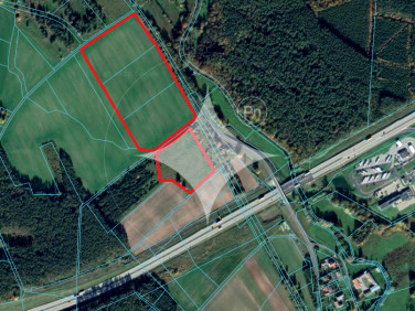 Działka Dąbrowa Bolesławiecka