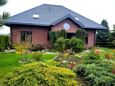 Dom wolnostojący sprzedaż