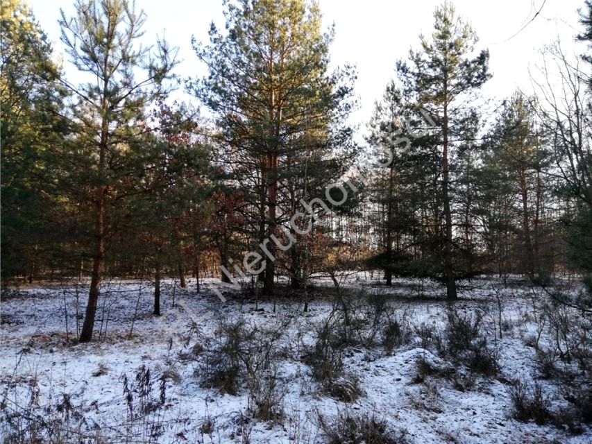 Działka budowlana Owczarnia