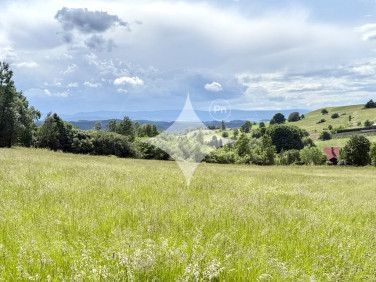 Działka Jeżów Sudecki