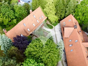 Budynek użytkowy Dziwiszów sprzedaż