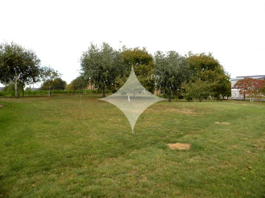 Działka Poświętne