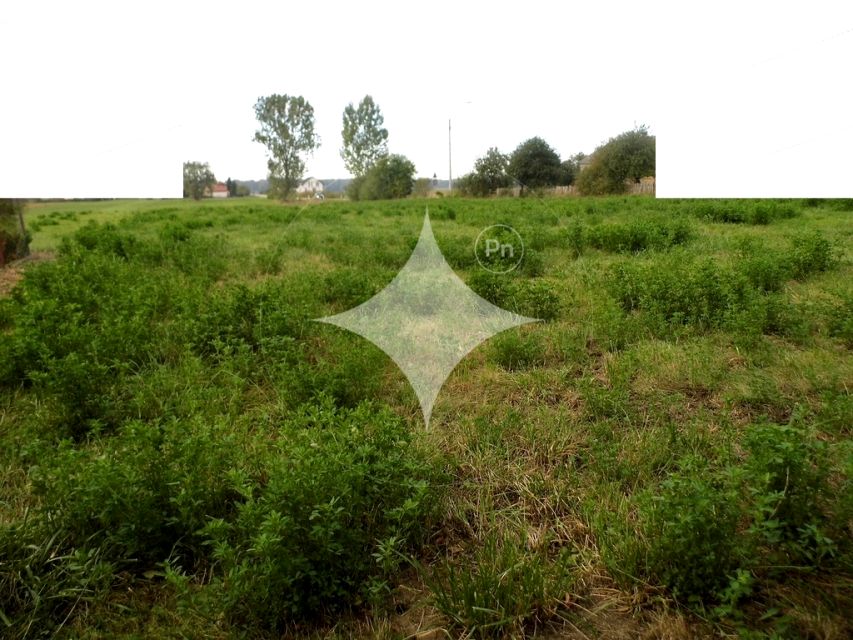 Działka budowlana Poświętne