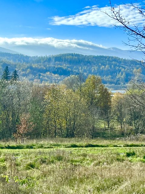 Działka budowlana Sosnówka