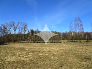 Działka Cieleśnica