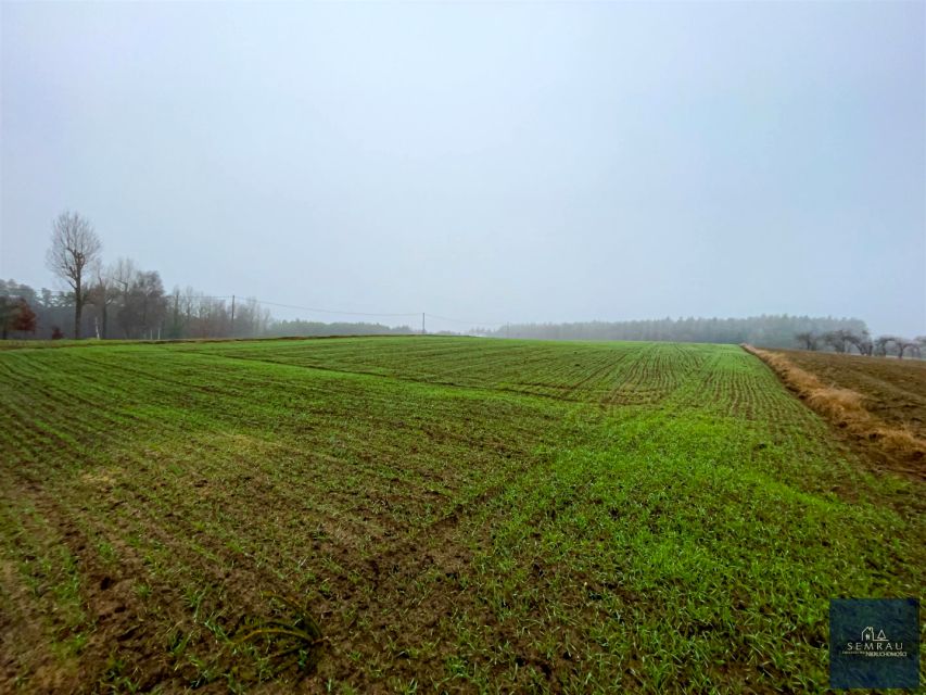 Działka rolna Dźwierszno Małe