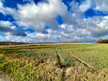 Działka siedliskowa Mogielnica