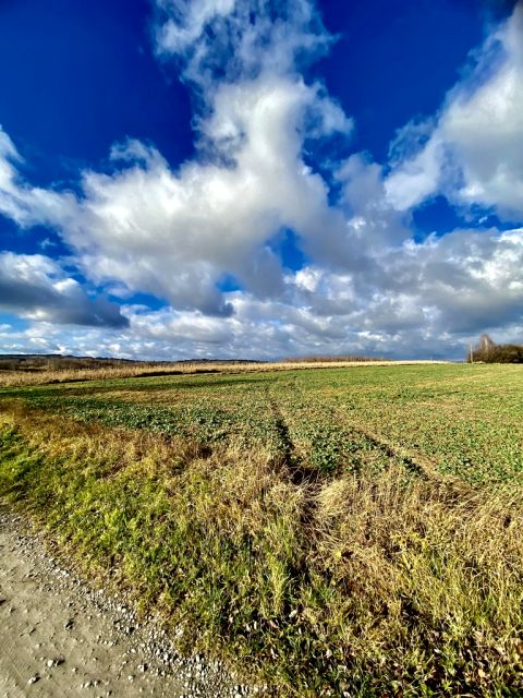 Działka siedliskowa Mogielnica