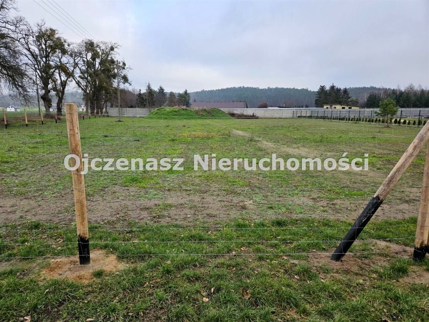 Zdjęcie 2