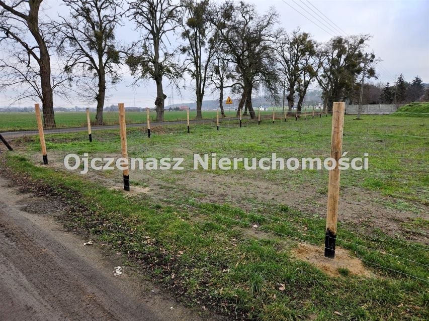 Zdjęcie 3