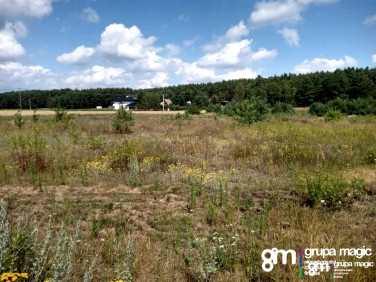 Pusta działka Dzikowo