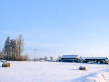 Działka inwestycyjna Dobrzewino