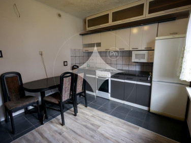 Mieszkanie Szczytnica