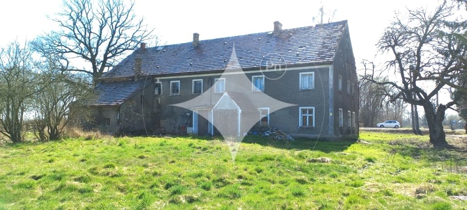 Dom Suszki sprzedaż