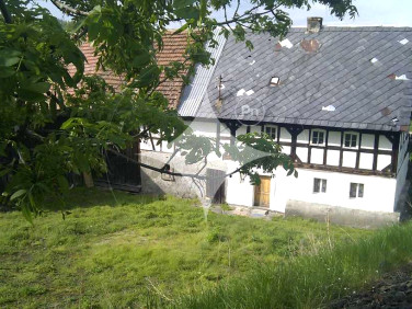 Dom wolnostojący sprzedaż