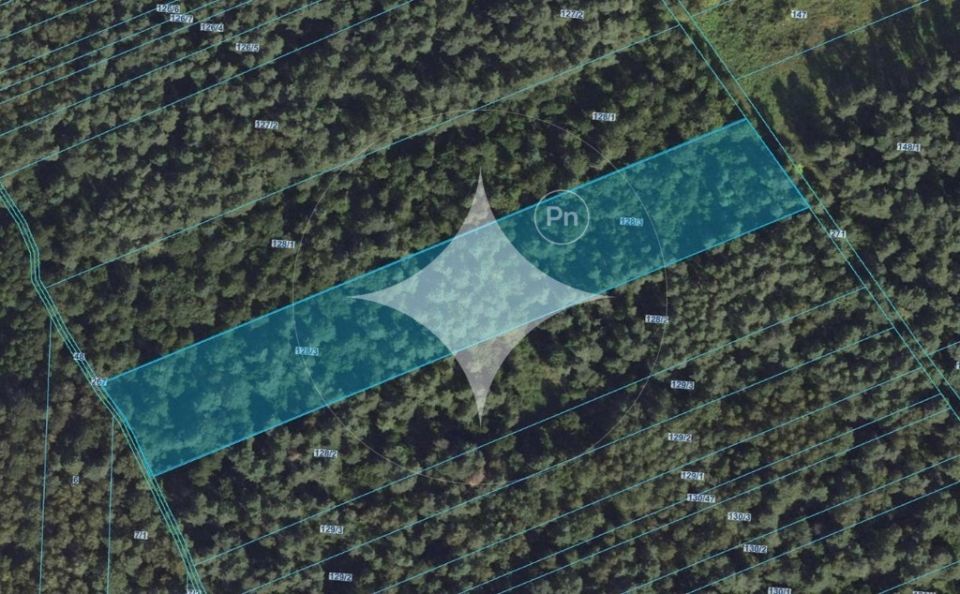 Działka Kowalewszczyzna