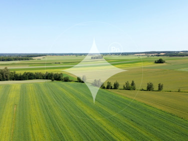 Działka rolna Parzyce