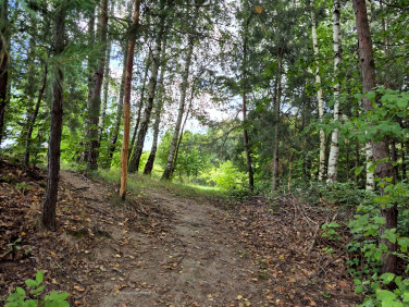 Działka Wola Nieszkowska