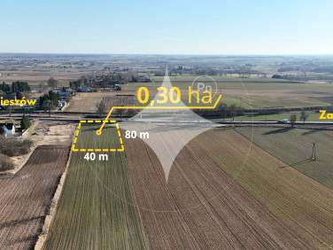 Działka usługowa Alojzów