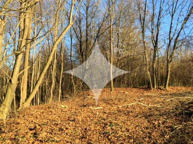 Działka budowlana Leksandrowa