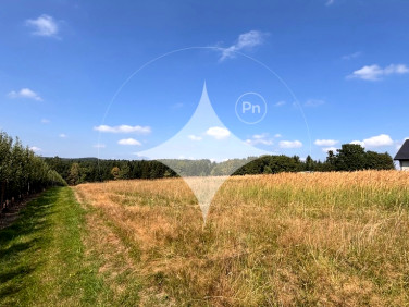 Działka Wola Wieruszycka