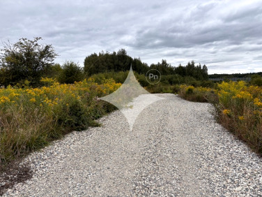 Działka przemysłowa Cikowice