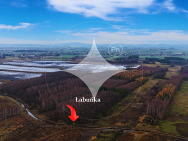 Działka rolna Pniówek