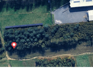 Działka Wola Kiedrzyńska