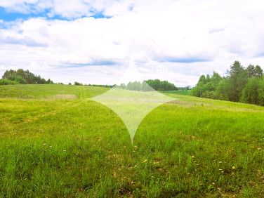 Działka Dąbrówka Wielka