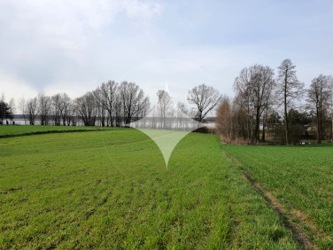 Działka budowlano-rolna Komarne