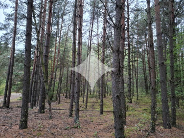 Działka leśna Uhowo