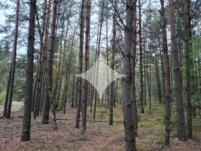 Działka leśna Uhowo