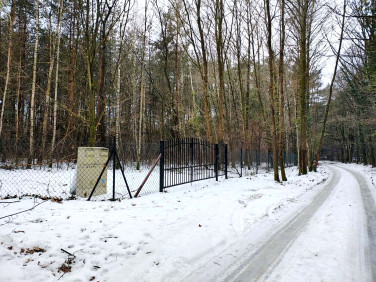 Działka budowlana Sokolniki-Las